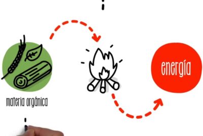 Diagrama que muestra materia orgánica transformándose en energía mediante leña y fuego, F2z1w9Xho44.