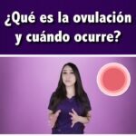 Descubre todo sobre la ovulación: qué es, cuándo ocurre y cómo identificarla