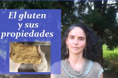 Portada que muestra el texto 'El gluten y sus propiedades', una mujer frente a árboles y manos con guantes sosteniendo masa