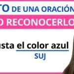 Descubre qué es el sujeto y el predicado en una oración: clara explicación sin rodeos