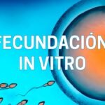 Fecundación in vitro: Todo lo que necesitas saber sobre esta técnica de reproducción asistida