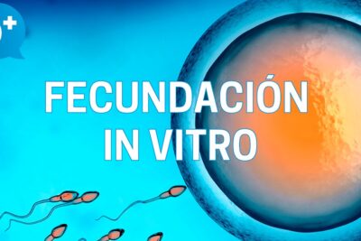 Ilustración de fecundación in vitro con ovocito y espermatozoides M IFI9mwIDQ