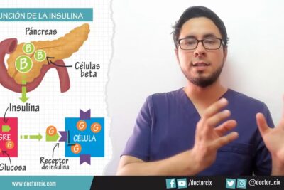 Diagrama de la función de la insulina con profesional de salud explicando SS66ISWiQoY