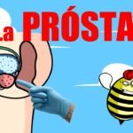 Todo sobre la próstata: definición, funciones y cuidados imprescindibles