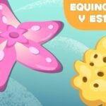 Descubre qué comen los equinodermos: una mirada detallada a la alimentación de estas fascinantes criaturas marinas