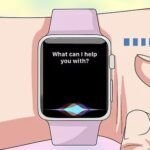 Aprende a usar Apple Pay en tu Apple Watch en 5 sencillos pasos