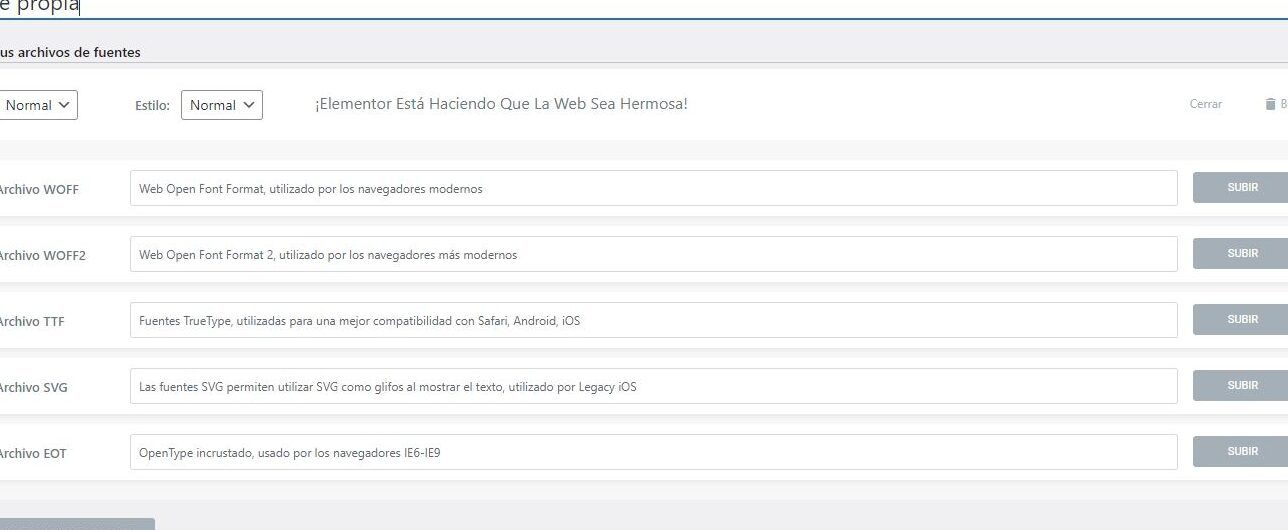 Pantalla de configuración de fuentes en WordPress mostrando campos para WOFF, WOFF2, TTF, SVG y EOT, aprende a utilizar google fonts en wordpress de forma facil y rapida.
