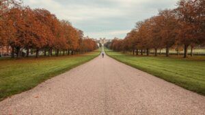 Avenida arbolada en otoño con una persona caminando hacia un edificio al fondo, aveiro costa nova guia turistica imprescindibles