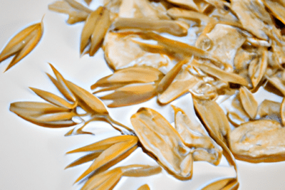 Primer plano de granos y copos de avena sobre fondo claro, avena caducada es seguro comerla
