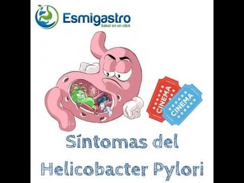 Helicobacter pylori: Todo sobre la bacteria y sus síntomas que no puedes ignorar