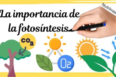 Ilustración sobre la fotosíntesis con sol, hojas, árbol, CO2, O2 y una mano escribiendo el título