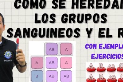 Presentación educativa sobre la herencia de grupos sanguíneos y Rh con diagramas tipo Punnett y cariotipo genio