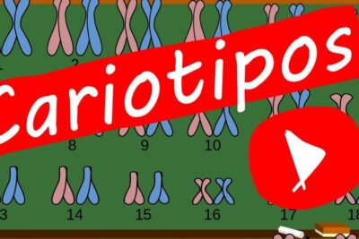 Diagrama ilustrado de cariotipos en pizarra con cromosomas numerados, banner rojo y un icono de reproducción que sugiere vídeo sobre cariotipo olor.