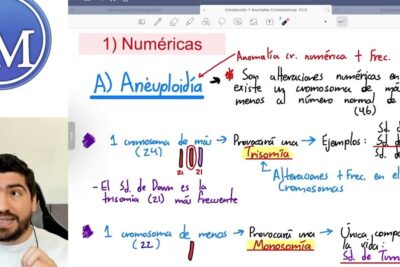 Diapositiva sobre aneuploidía con notas manuscritas y ejemplos de trisomía y monosomía, ilustrando un cariotipo roto 1