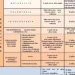 ¿Cuántos años cotizados se necesitan para jubilarse en España?