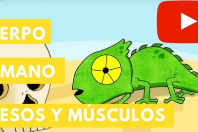 Ilustración animada de una calavera y un camaleón con texto sobre el cuerpo humano