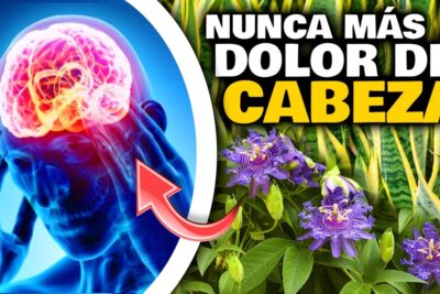Ilustración de cerebro iluminado y persona sujetándose la cabeza junto a flores moradas y texto 'Nunca más dolor de cabeza' dWMgGYSqmYY
