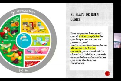 Infografía del Plato de Buen Comer con secciones de verduras y frutas, cereales, lácteos y carnes alrededor del agua central, de que se alimentan las cucarachas descubre su dieta y habitos alimenticios