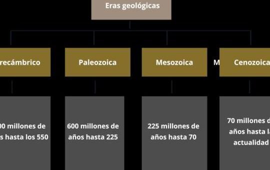 descubre como funciona la escala temporal geologica en pocos pasos