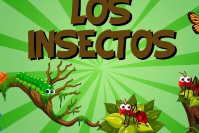 Ilustración colorida de insectos y gusanos en ramas verdes que descubre de que se alimentan los gusanos y por que son tan importantes para el ecosistema