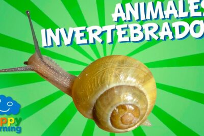 Caracol en primer plano sobre fondo verde radial que invita a descubre de que se alimentan los increibles animales invertebrados en la naturaleza