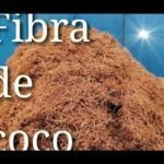 Descubre el secreto para sacar la fibra del coco de manera fácil y rápida