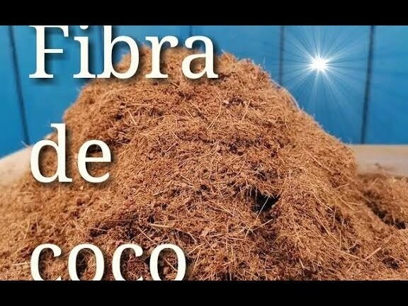 descubre el secreto para sacar la fibra del coco de manera facil y rapida