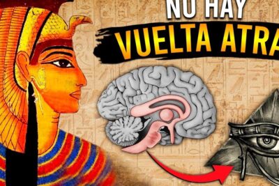 Figura egipcia, cerebro anatómico y ojo en pirámide conectados por una flecha que invita a descubre el verdadero significado detras de que significa 20 20 todo lo que debes saber.