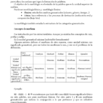 Descubre la definición de prefijo, lexema y sufijo: ¡Ejemplos claros aquí!