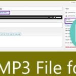 Descubre las diferencias entre archivos WAV y MP3