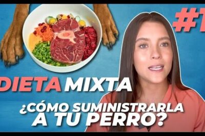 Tazón con carnes y verduras junto a patas de perro y una presentadora explicando, descubre que alimentos son adecuados para la dieta de los perros.