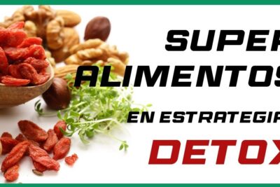 Plato con superalimentos como bayas goji, nueces, semillas y brotes verdes, descubre que comen las bacterias un vistazo detallado a la alimentacion de estos microorganismos
