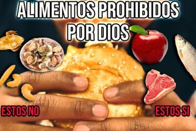 Descubre que comen las boas una guia completa sobre la alimentacion de estos fascinantes reptiles, imagen con manos sujetando una hamburguesa y gráficos de alimentos prohibidos (rana, mariscos, snacks) y permitidos (pescado, carne, manzana)