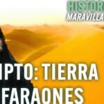 Descubre qué comen los dromedarios para mantener su resistencia en el desierto