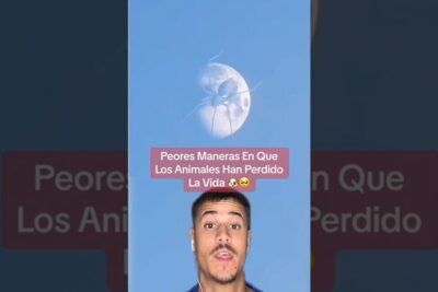 Miniatura vertical con un joven narrador y un gráfico lunar, texto sobre Peores Maneras En Que Los Animales Han Perdido La Vida y llamada a descubre que comen los erizos de mar y como se alimentan estos curiosos animales marinos