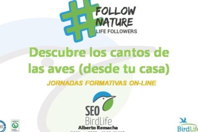 Cartel promocional con texto Descubre los cantos de las aves (desde tu casa), JORNADAS FORMATIVAS ON-LINE y logos de SEO BirdLife que menciona descubre que comen los verderones una guia completa sobre la alimentacion de estas aves