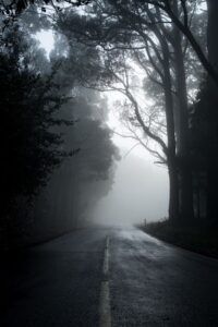 Descubre significado sonar perdido bosque oscuro en una carretera solitaria y neblinosa