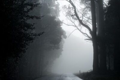 Descubre significado sonar perdido bosque oscuro en una carretera solitaria y neblinosa