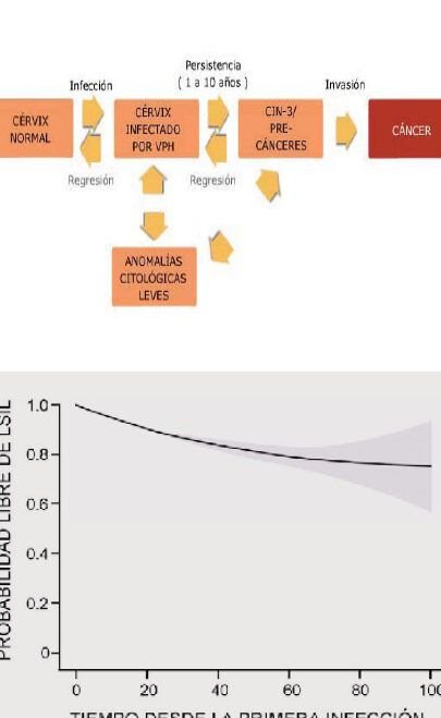 descubre todo sobre el vph serotipo 45 y su impacto en la salud 1