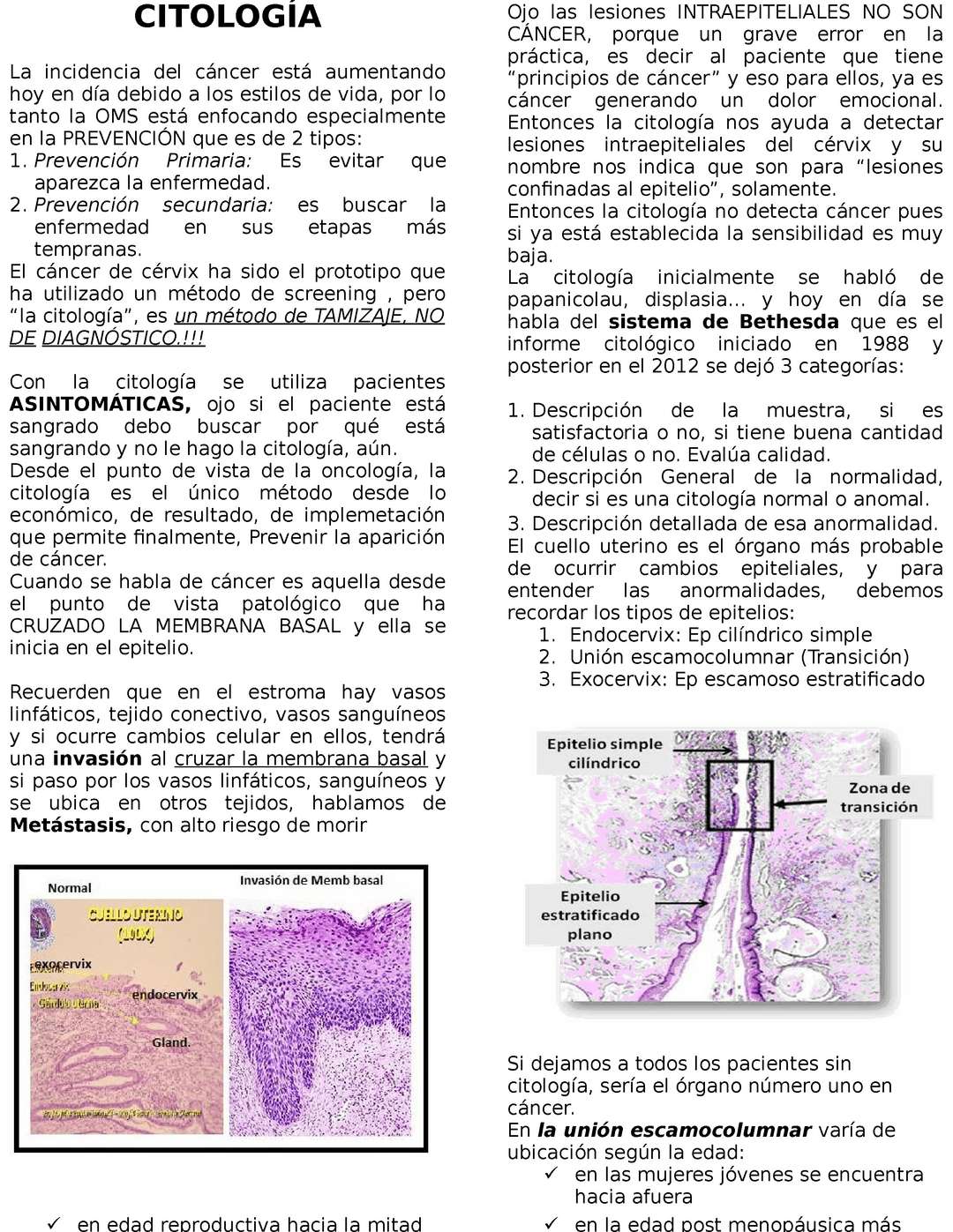Resumen ilustrado de citología cervical, prevención, tamizaje y categorías Bethesda; descubre todo sobre la citologia clase 2 que significa