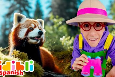 Persona con sombrero y binoculares junto a un panda rojo en un entorno boscoso, descubriendo la dieta del oso panda que come realmente este fascinante animal