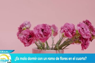 Ramo de flores rosas en un jarrón sobre fondo rosa junto a texto que menciona dormir flores.
