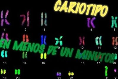 Cariograma colorido con pares cromosómicos numerados que muestra el cariotipo 1 y las letras X y Y para cromosomas sexuales.