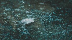 Detalle de superficie acuática con espuma y burbujas en tonos celestes que ilustra el significado del color azul celeste claro y sus simbolismos