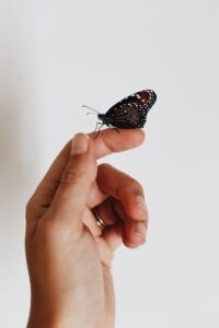 el significado tatuaje mariposa mano