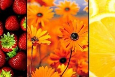Composición vertical de fresas, flores naranja y rodaja de limón que evoca el simbolismo del color melocoton claro significado y mas.