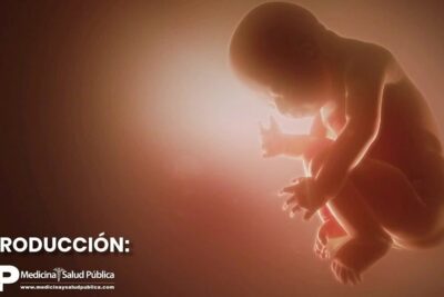 Embrión crece en el útero, mostrando un feto en desarrollo en postura fetal iluminada