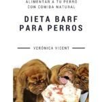¿Es seguro alimentar a tu perro con carne cruda? Descubre qué puede pasar