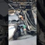 Exceso de aceite en el motor: ¿problemas a la vista?