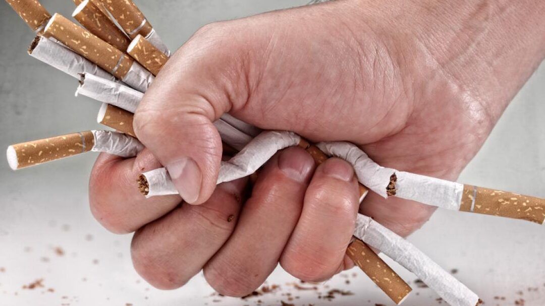 Mano apretando y rompiendo varios cigarrillos como símbolo de evitar fumar durante el embarazo que riesgos hay si fumas poco.